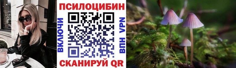 наркошоп  Николаевск  Псилоцибиновые грибы прущие грибы 